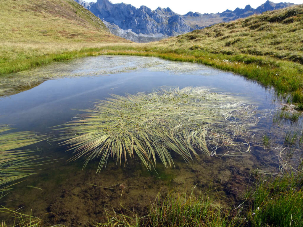 St.Antönier Seenwanderung , Carschinahütte (W/B/T2) Alex Burri