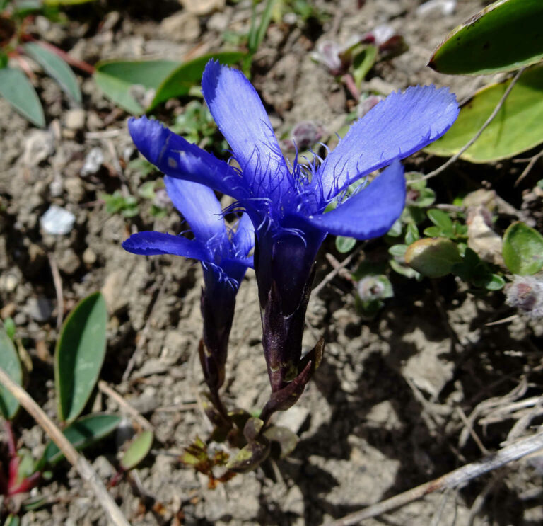 016