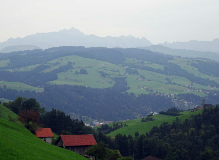 DSC00997