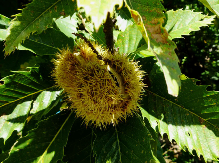 058