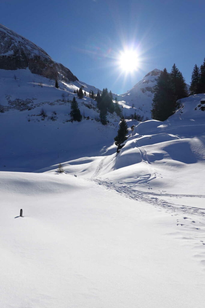 Punta di Larescio 2194m (S, SS/B/WS+, WT4) Hansruedi Bachmann
