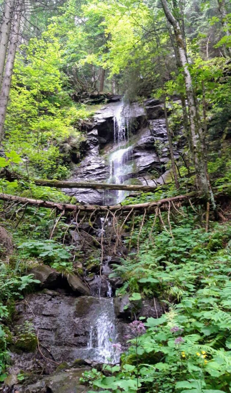 IMG-20220608-WA0003~2