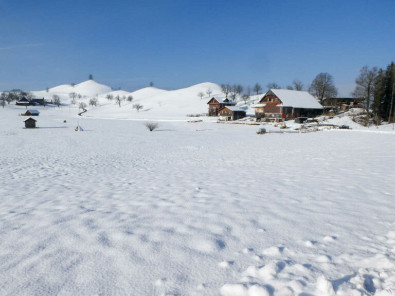 SACSihlmatt_08_008_P1110757-21-2