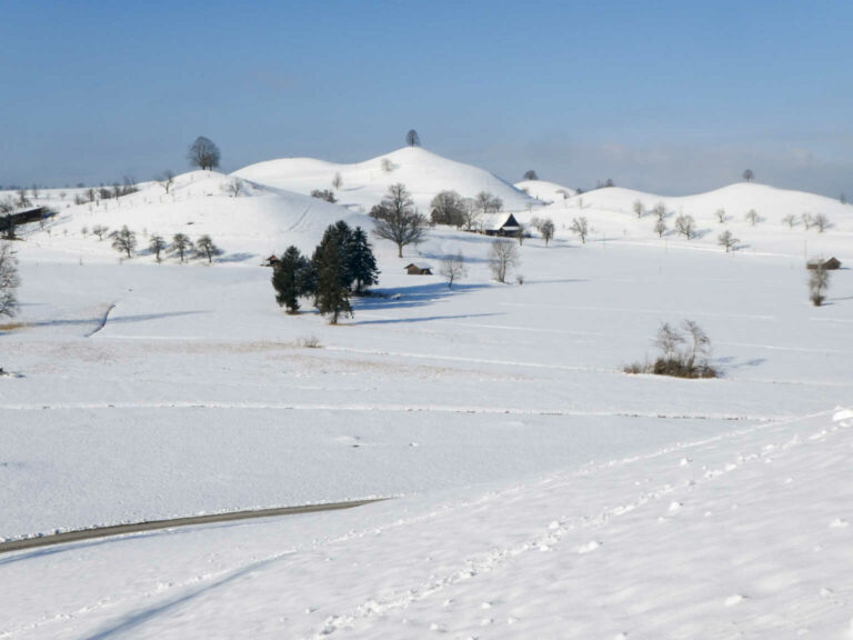 SACSihlmatt_12_012_P1110762-26-2