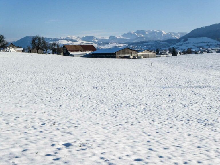 SACSihlmatt_18_018_P1110775-1-2
