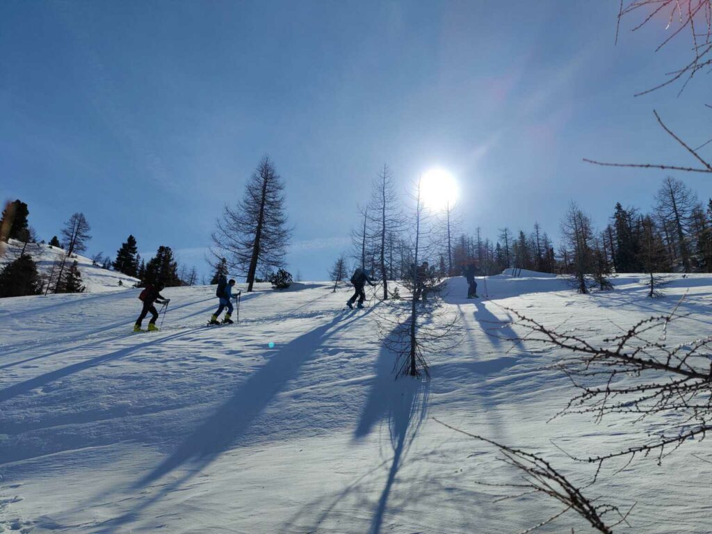 Geniesser Limone Piemont TW BGF (S/B/WS+) Michael Kirsch