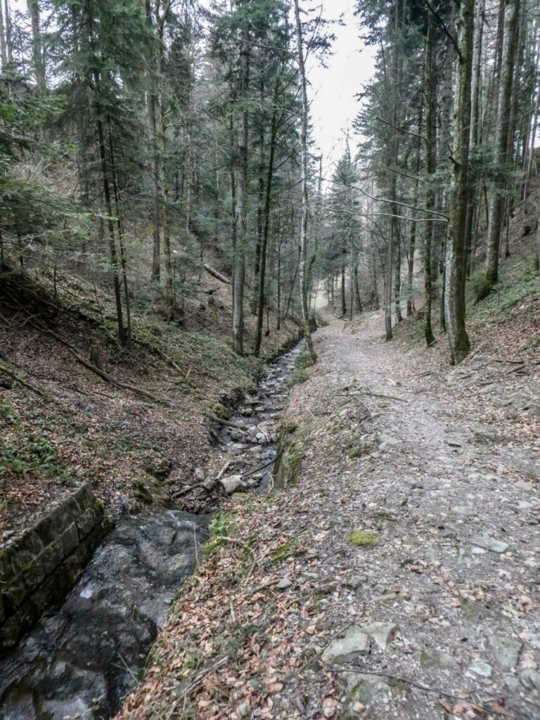 SAC_Menzingen_Bild15_P1120342-38-2