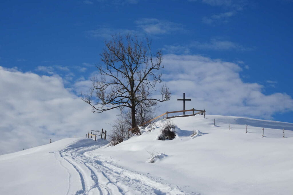 Dankeschön-Tour Senioren (CL/C) Peter Hausmann