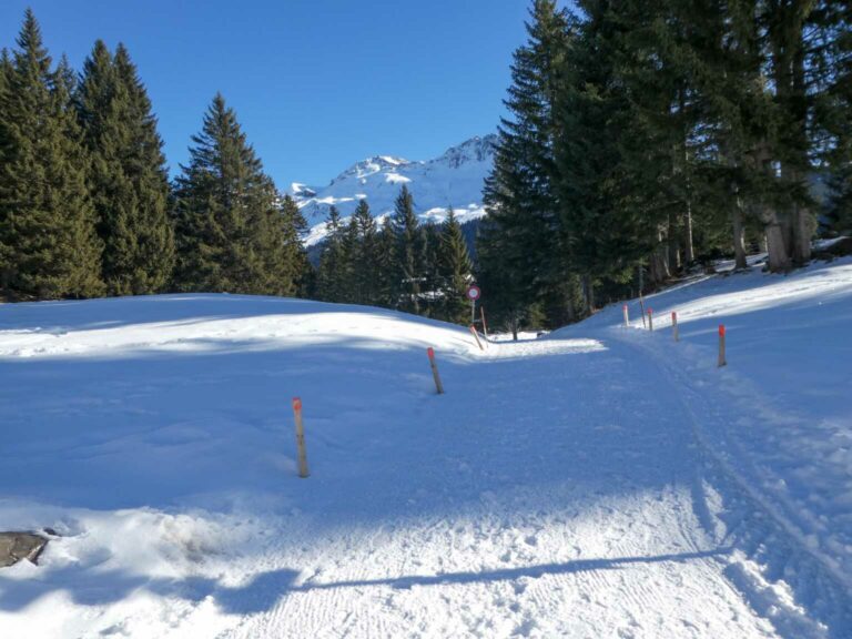 2022_SACLenzerheide_Bild004_P1110798-7-2