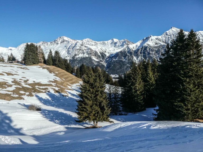 2022_SACLenzerheide_Bild016_P1110834-29-2