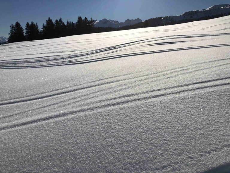 Im Aufstieg bei ca. 1650m