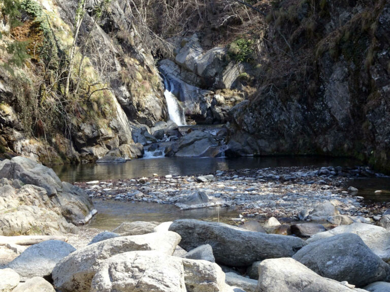 DSC01778