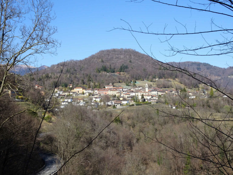 DSC01799