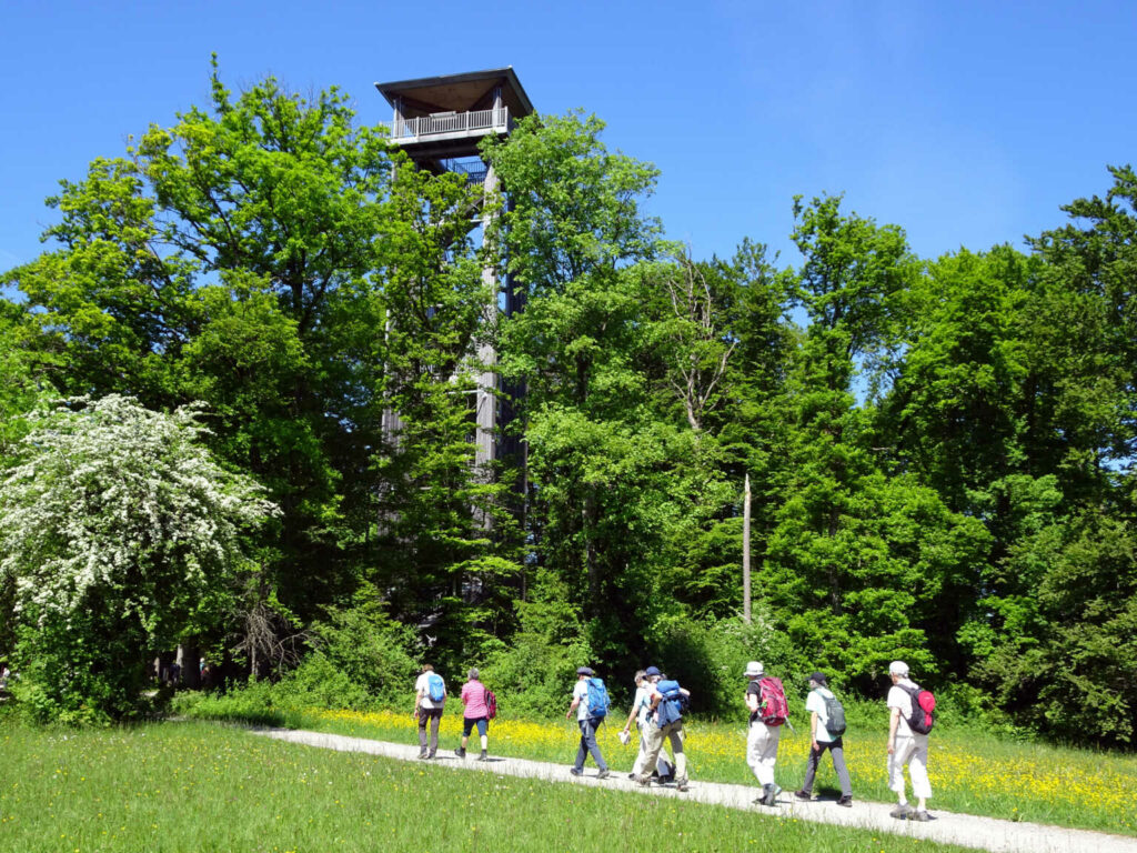 Grünwald – Altberg -Würenlos (W/B/T1) Maria Schinz