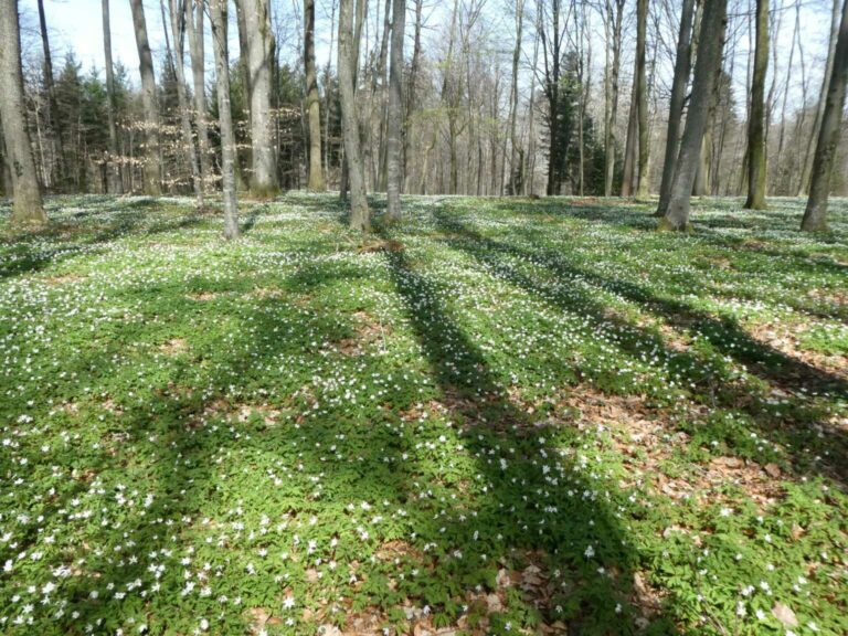 Bild11_P1120498-35