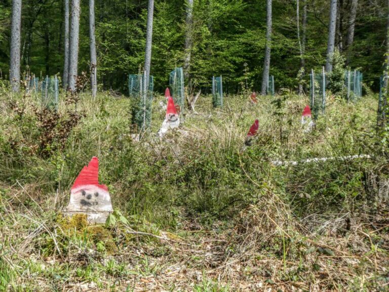 SACKaiserstuhl_Bild06_P1120653-5-2