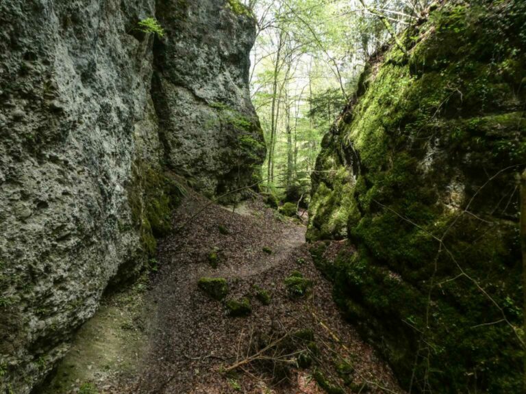 SACKaiserstuhl_Bild11_P1120681-11-2