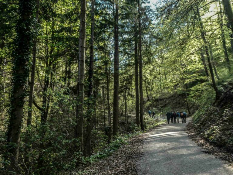 SACgempen_Bild07_P1120564-7-2
