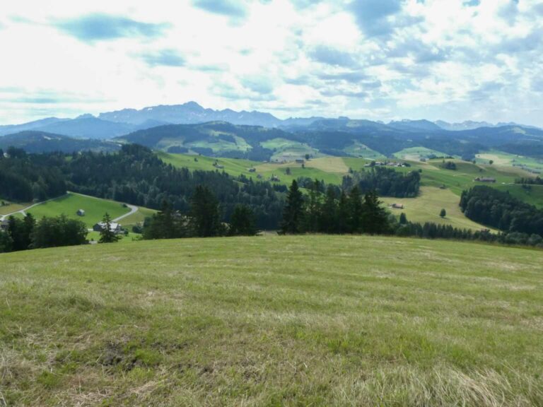 2022_SACDegersheim_Bild07_P1120864-23-2