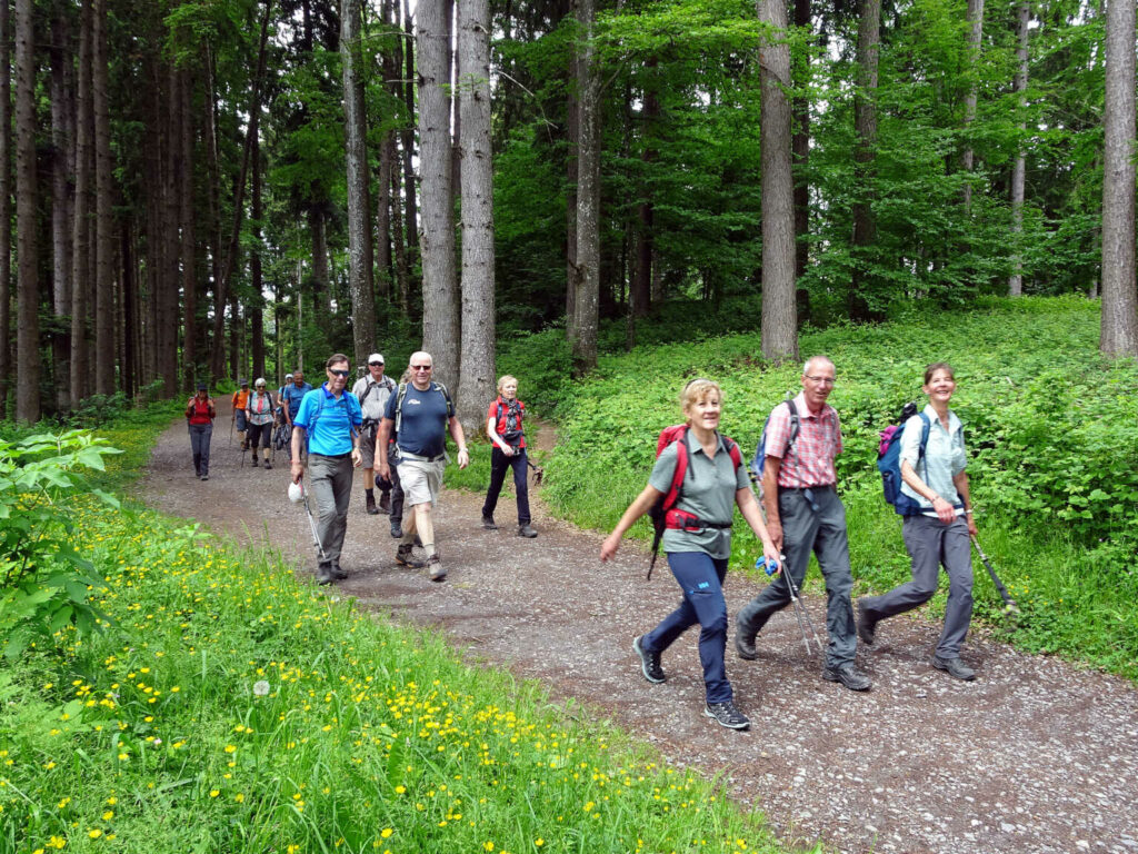 Appenzeller Eggen Höhenweg Stein – Trogen AR (W/B/T2) Liselotte Pouly