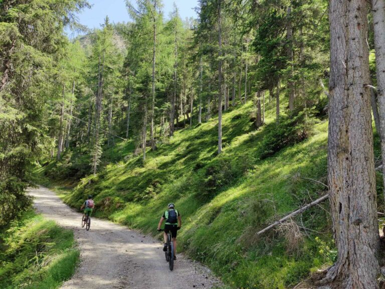 SAC_StVigil_002_Wald_220618