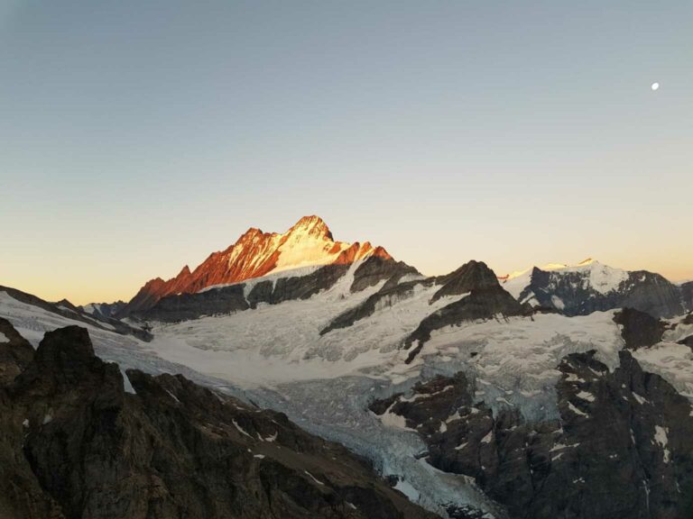 07_Frühaufsteher Lauteraarhorn
