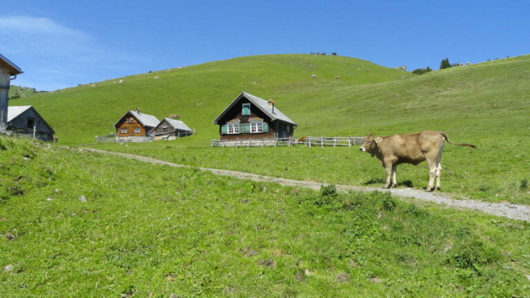 10. Alp Sigel3