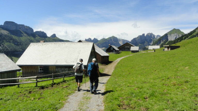 11. Alp Sigel4
