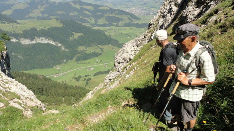 7. Talblick