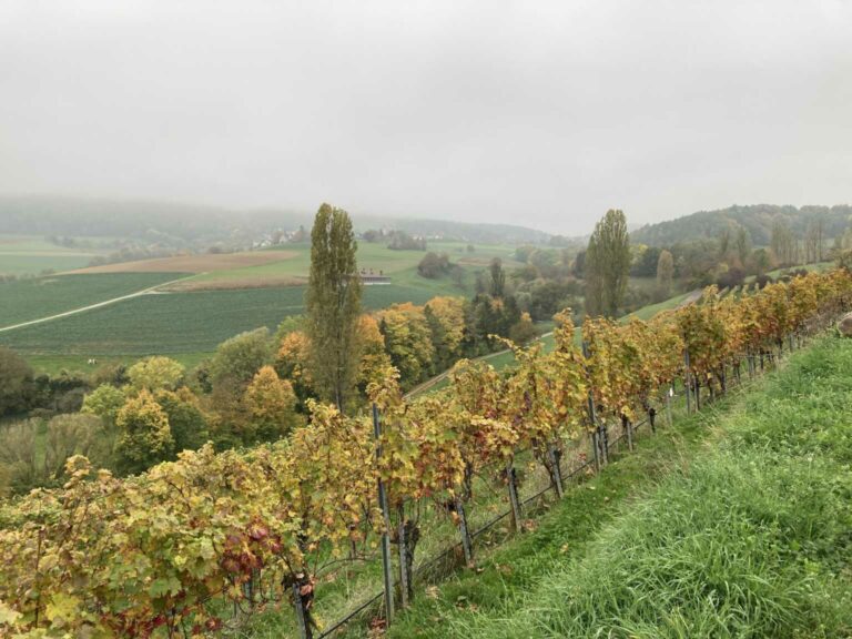 IMG_7407