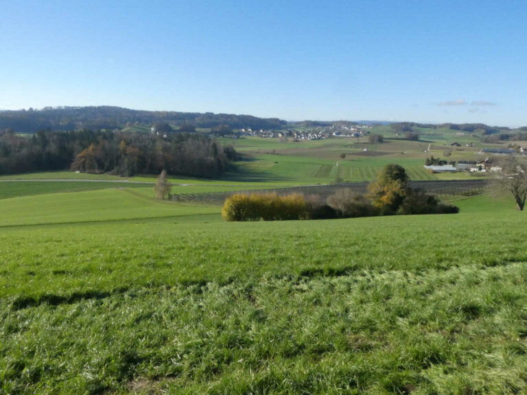 2022_SAC_Gurisee_Bild07