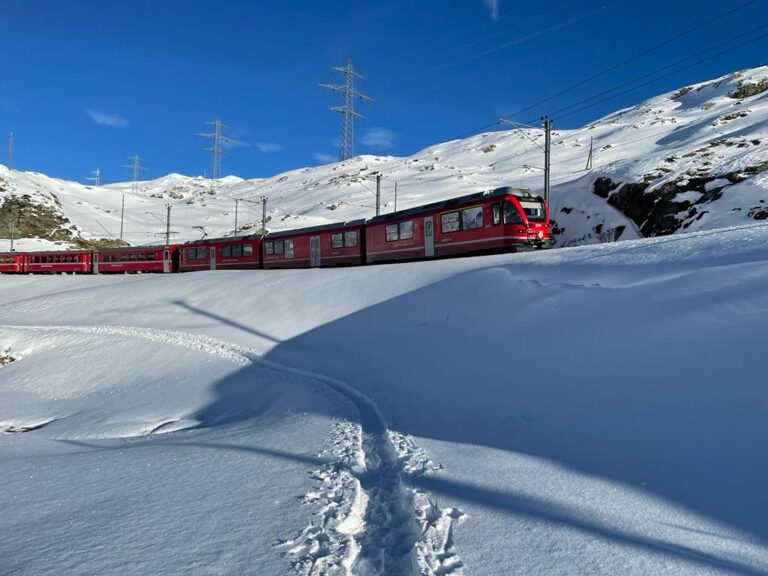 IMG-20221208-WA0013