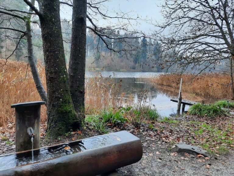 SAC 30.11,22 Klause Horgenberg nach Zürich (10)