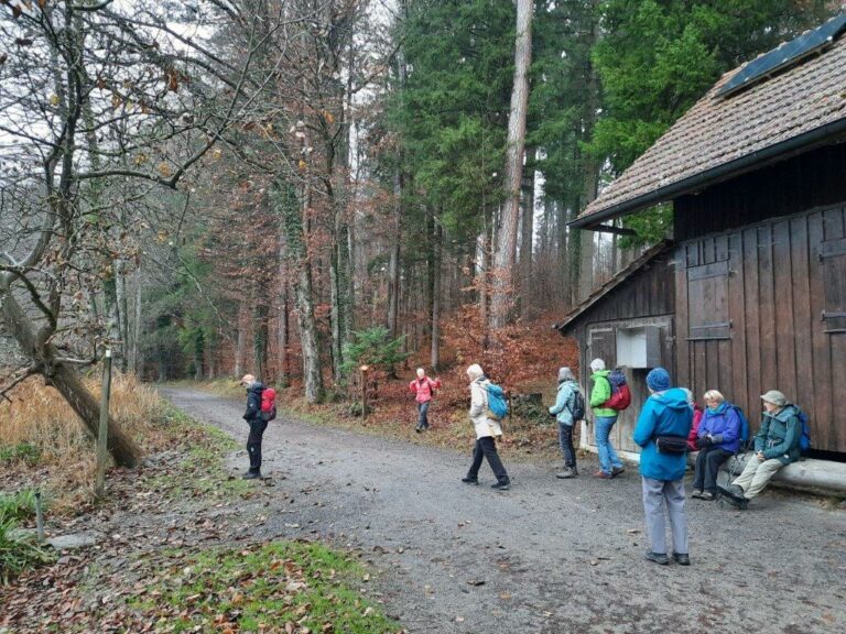 SAC 30.11,22 Klause Horgenberg nach Zürich (12)