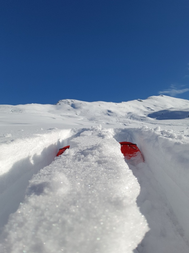 Schafberg 2456 m (S/B/WS) Franco Poletti