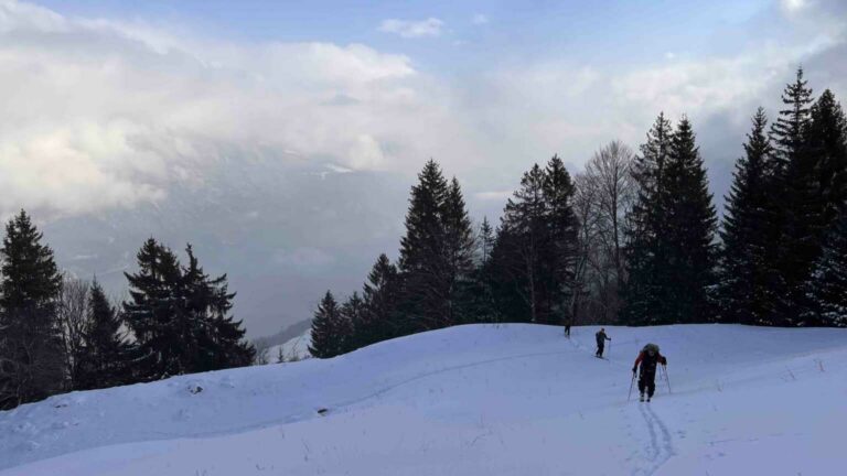 3 Im Aufstieg, Grashalme schauen raus