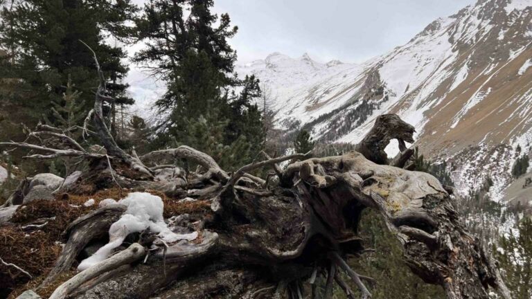 07 Blick ins Val Roseg beim Abstieg vom Piz Mandra