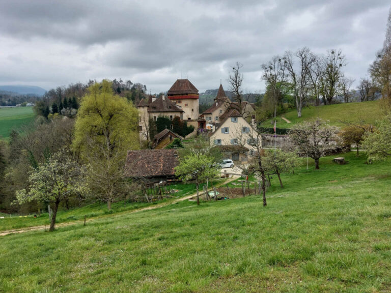 2023_SACWildenstein_Bild11