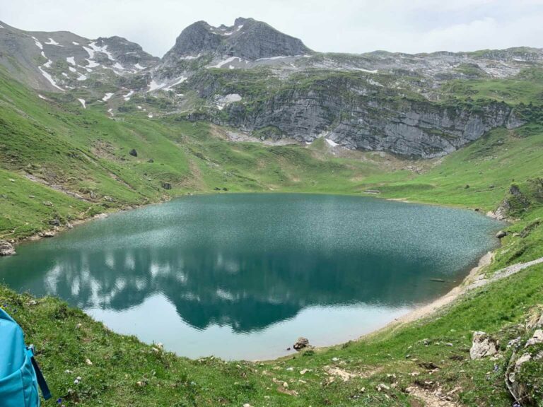 33c460f8-c1ca-4ff8-9392-3a972e2e1a1c