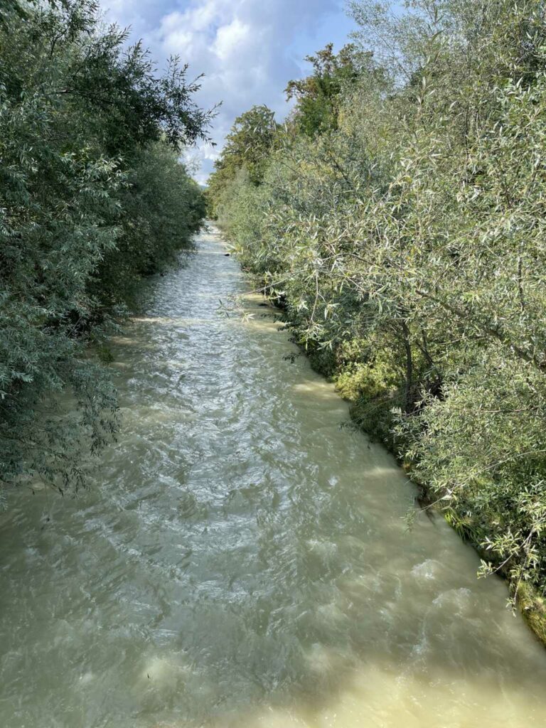 IMG_7603