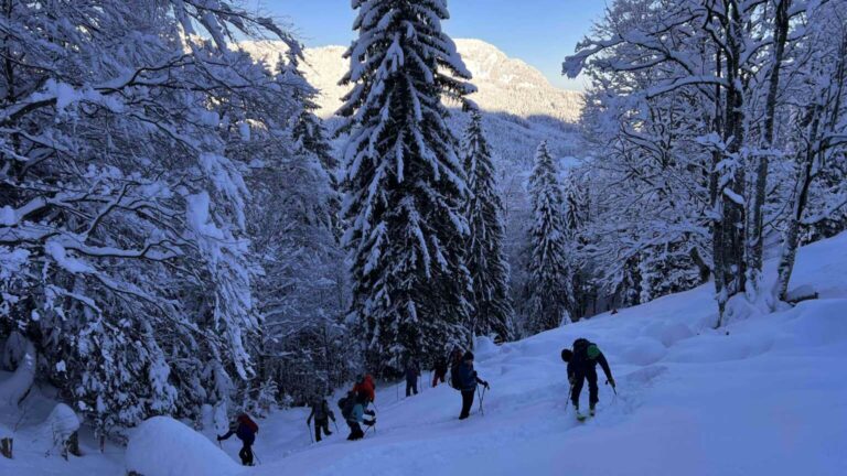 03 Im Aufstieg auf ca 1050m