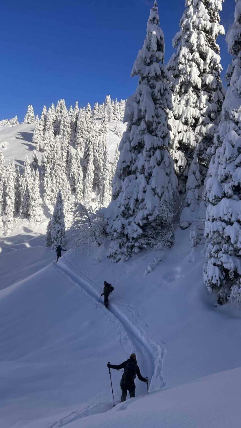 05 Im Aufstieg auf ca 1500m