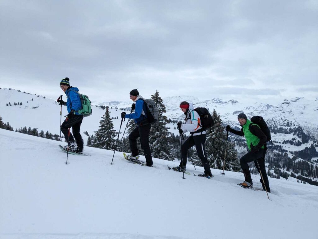 Schneeschuhtour zum Saisonbeginn (SS, AU/B/WT3) Hansruedi Bachmann