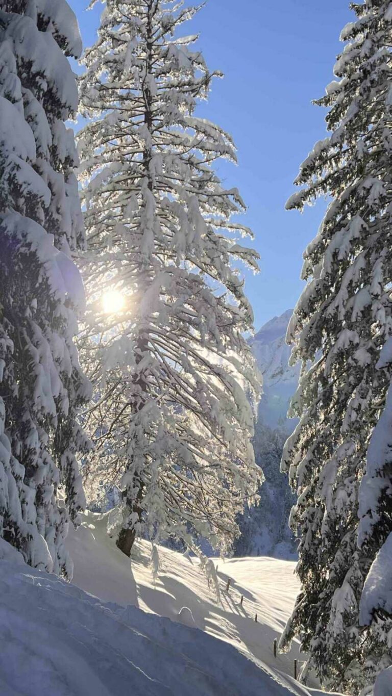 10 Winter-Weihnachtsstimmung