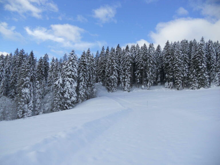 DSCN0125