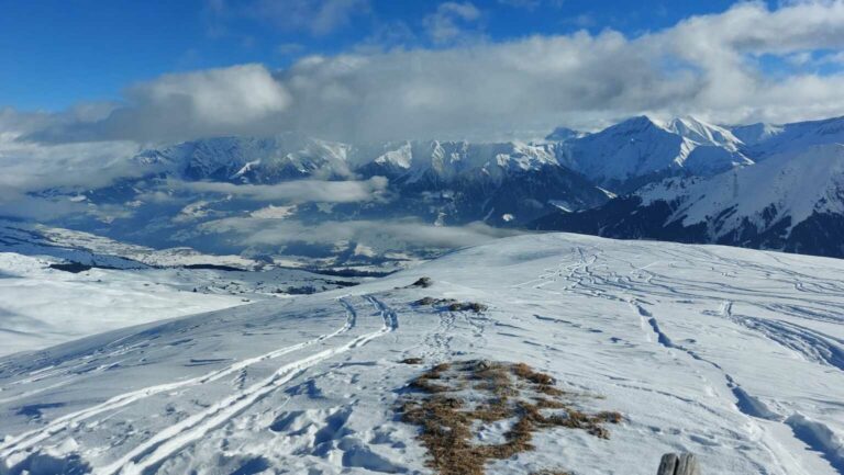 IMG-20231220-WA0011