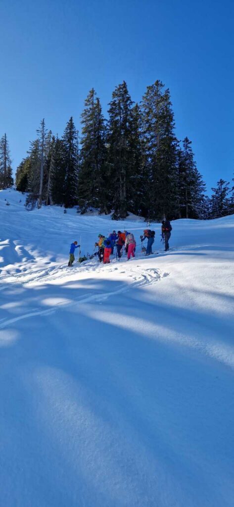 Winterkurs Lawinen/Skitouren (S, AU/C/L) Daniel Tanner