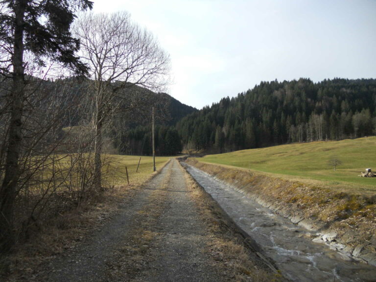 DSCN0154