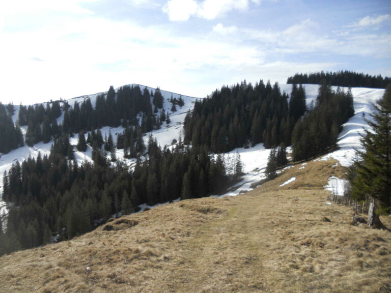 DSCN0162