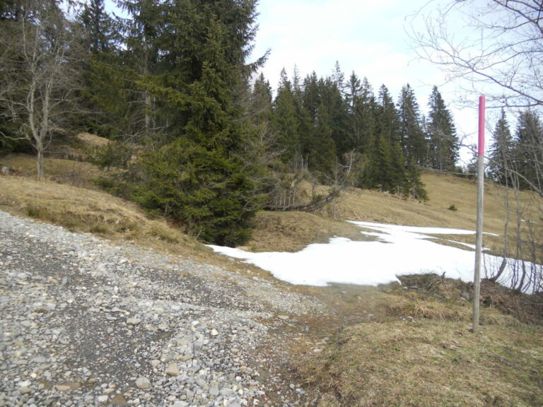 DSCN0169